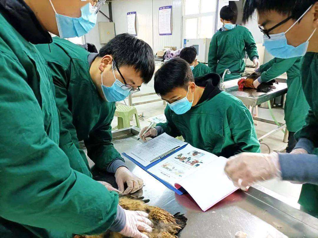 �Ͻ��hС���I�ЌW2022����������