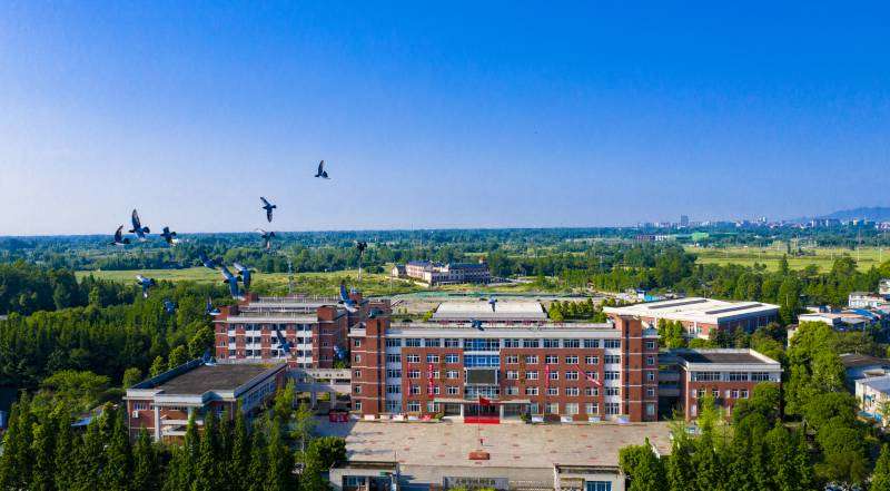 �������м����W(xu��)У2022����������