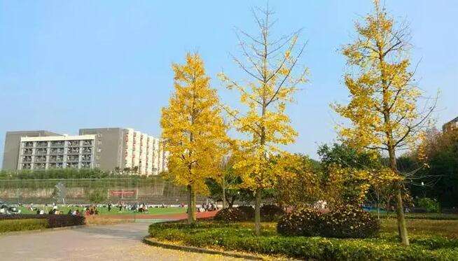 �Ĵ���Ӣ�t�B�Ƽ������WУ2022����������