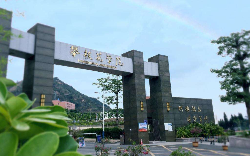 ��֦���и߼������WУ2022����������