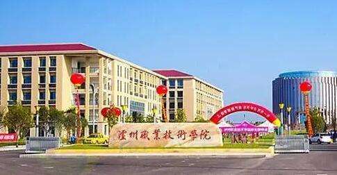 �o�ݼ����WԺ2022����������