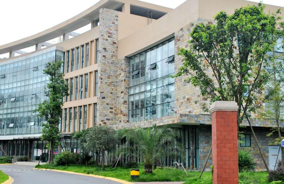 �Ĵ�ˇ�g(sh��)�I(y��)�W(xu��)Ժ�Ќ���2024������Ӌ(j��)��