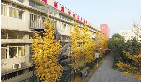 �ɶ����Ļ�ˇ�g�WУ2024����������