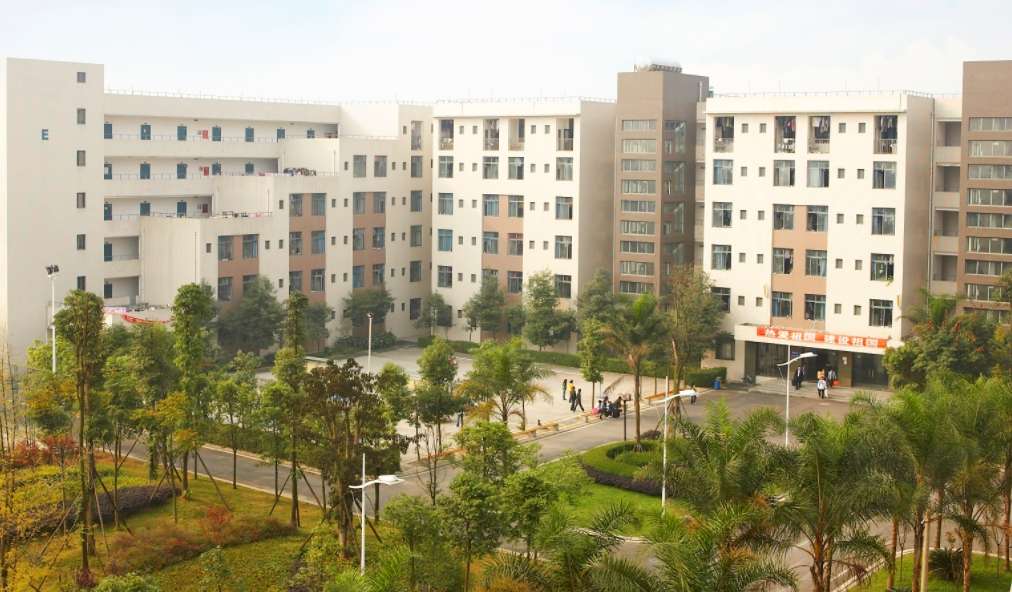 �ɶ����𹤳��I(y��)���g�WУ2024���������I(y��)��B