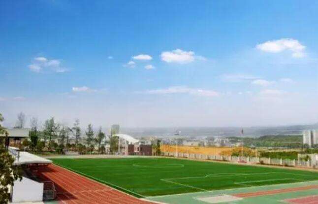 �Ĵ�ʡ�d��r(n��ng)�I(y��)�W(xu��)У2024��������(ji��n)��