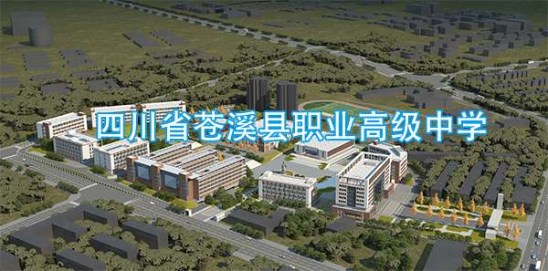 �Ĵ�ʡ�nϪ�h�I(y��)�߼��ЌW(xu��)2024����������