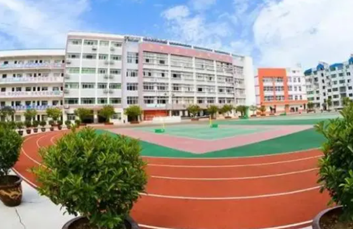 �VԪ���ѻ��^(q��)�I(y��)�߼��ЌW(xu��)2024����������