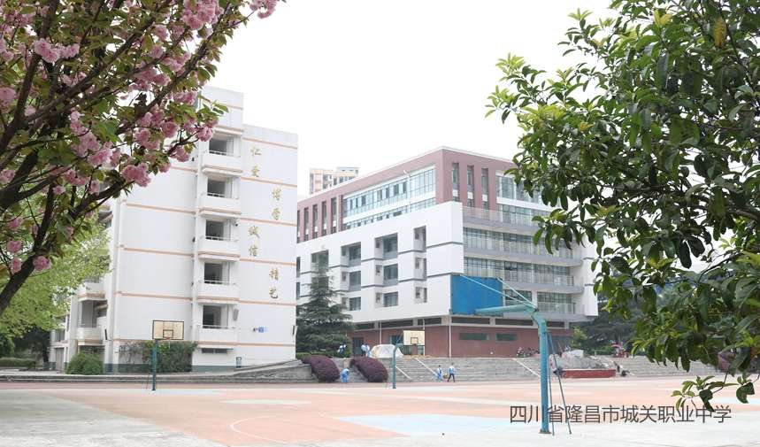 �Ĵ�ʡ¡���г��P�I�ЌW2024����������