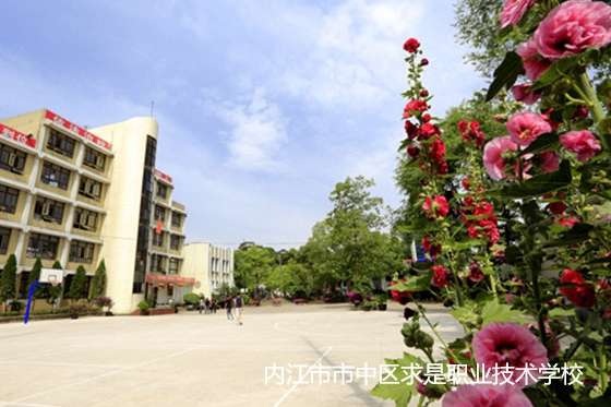 �Ƚ������Ѕ^�����I���g�WУ2024����������