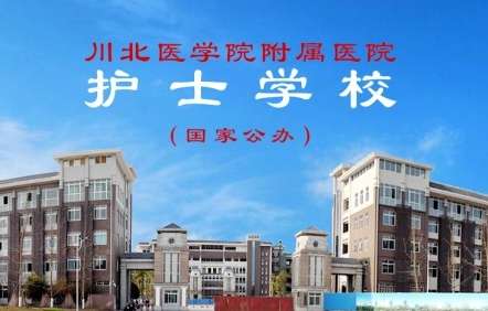 �����t(y��)�W(xu��)Ժ�����t(y��)Ժ�o(h��)ʿ�W(xu��)У2024��������(ji��n)��