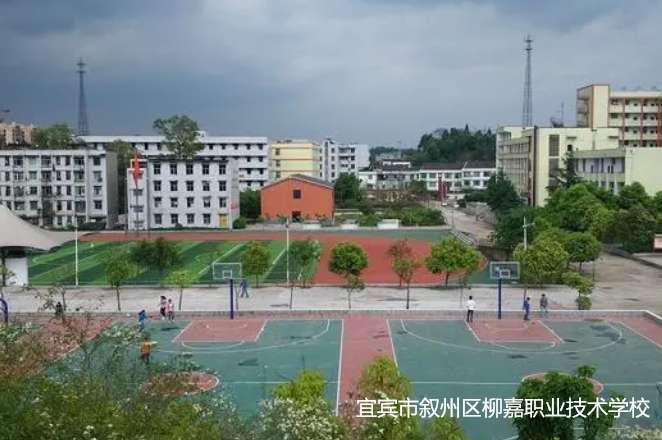 ���e�Д��݅^�����I���g�WУ2024����������