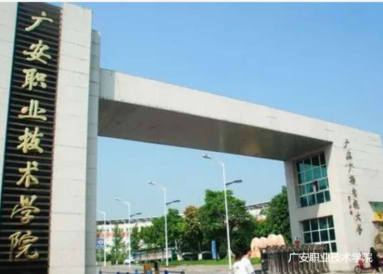 �V���I���g�WԺ����2024����������