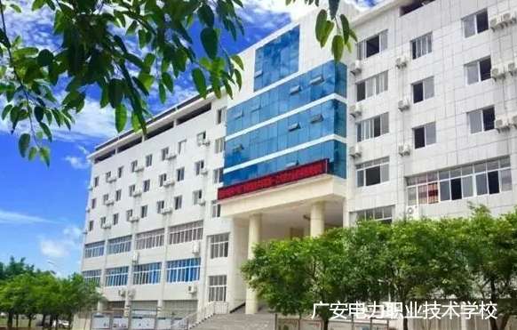 �V������I���g�WУ2024����������