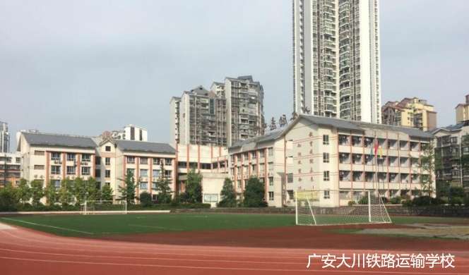 �V�����F·�\ݔ�WУ2024����������