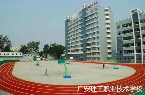 �V�������I���g�WУ2024����������