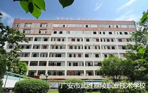 �V������ټ����I���g�WУ2024����������