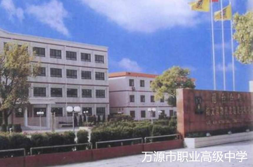 �fԴ���I�߼��ЌW2024����������