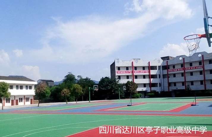 �Ĵ�ʡ�_���^ͤ���I�߼��ЌW2024����������