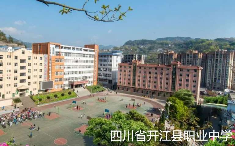 �Ĵ�ʡ�_���h�I�ЌW2024����������