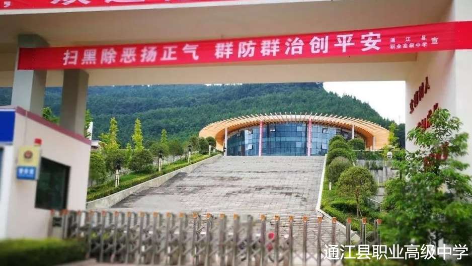 ͨ���h�I�߼��ЌW2024����������