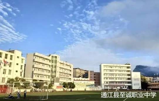 ͨ���h���\�I�ЌW2024����������