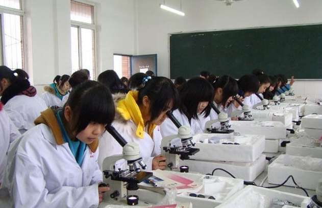 üɽ�l���I�WУ2024����������