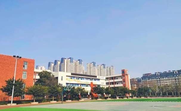 ��׽��^(q��)�����WУ2024����������