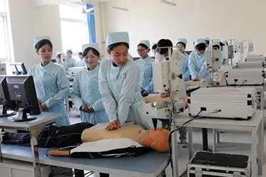 �Ĵ���Ӣ�t(y��)�B(y��ng)�Ƽ������WУ2024����������