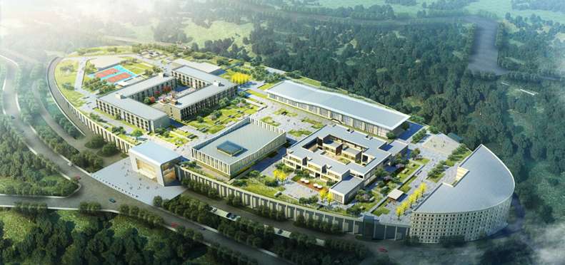 �ɶ���ͨ�߼������WУ2024����������