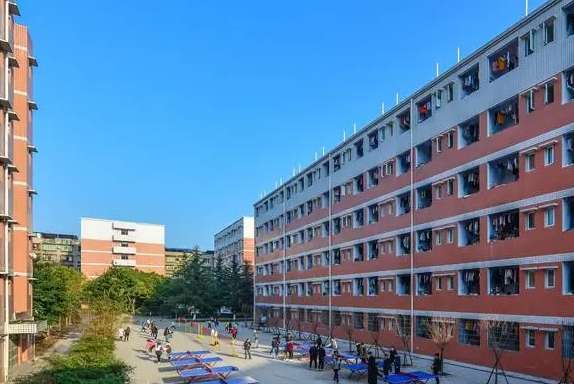 ��֦����ӿƼ��W(xu��)У2024��������(ji��n)��