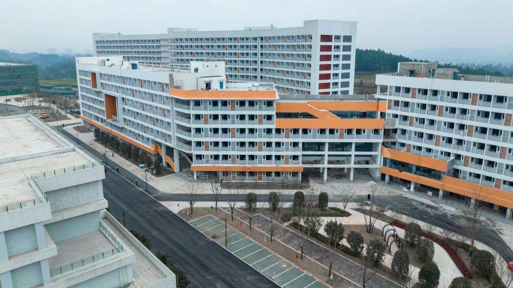 �Ĵ��I���g�WԺ2024����к͸߿��ȡ�������Ј󿼽��h��