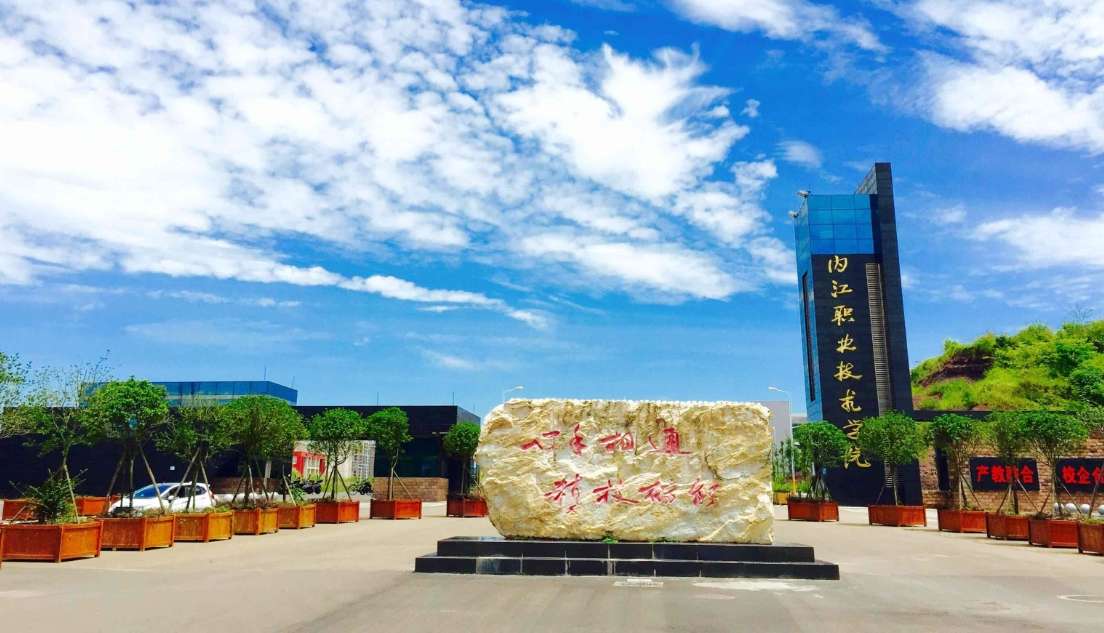 �Ƚ��I���g�WԺ2024����з֔����߿��֔���