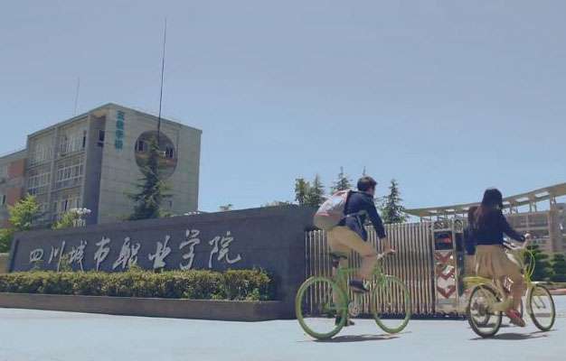 �Ĵ������I�WԺ2024������ȡ���͸߿��֔���