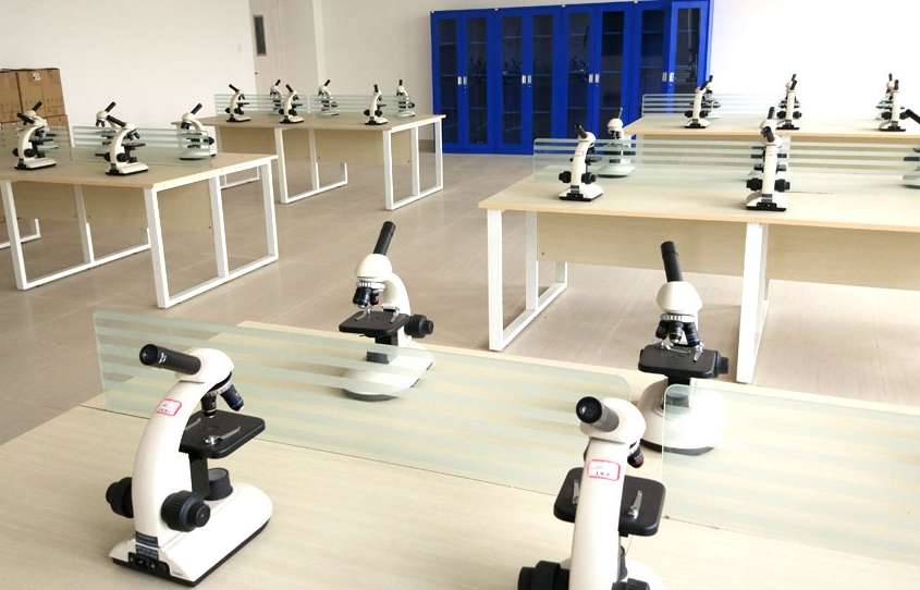 ��ɽ���tˎ�Ƽ��߼������WУ 2025 �괺�Ј����Ԓ����� 