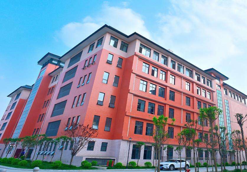 �Ĵ���W���O�A���l���WУ2026����������