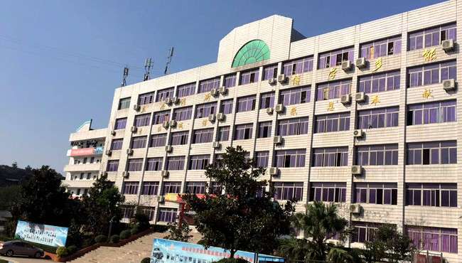 ��ؕ�����I���g�WУ2026����������