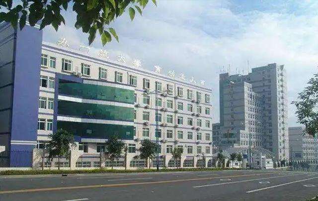 ��֦�����l���WУ2026����������