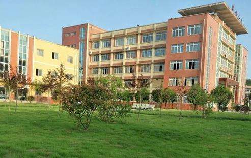 �VԪ���ѻ��^�I�߼��ЌW2026����������