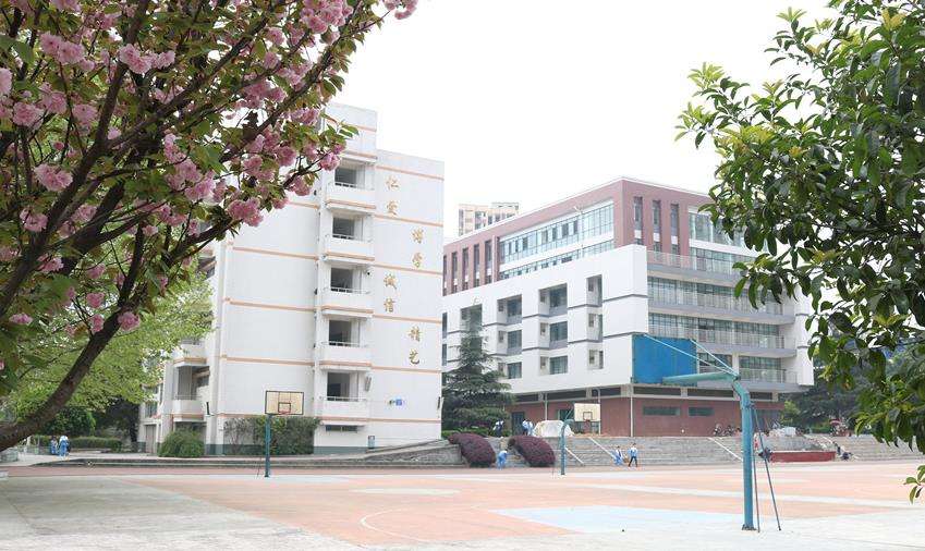 �Ĵ�ʡ¡���г��P�I�ЌW2026����������