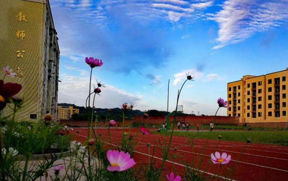 ���e�Д��݅^�߈��I���g�WУ2026����������