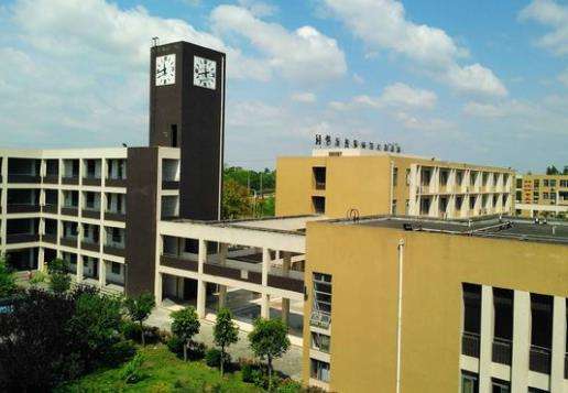 ��׽��^�����WУ2026����������