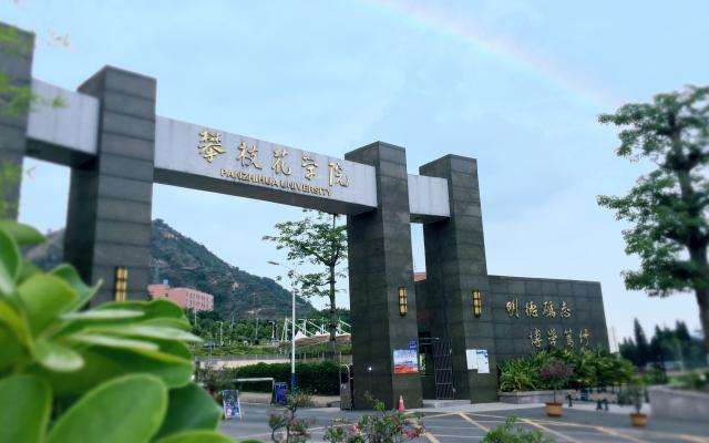 ��֦���и߼������WУ2026����������