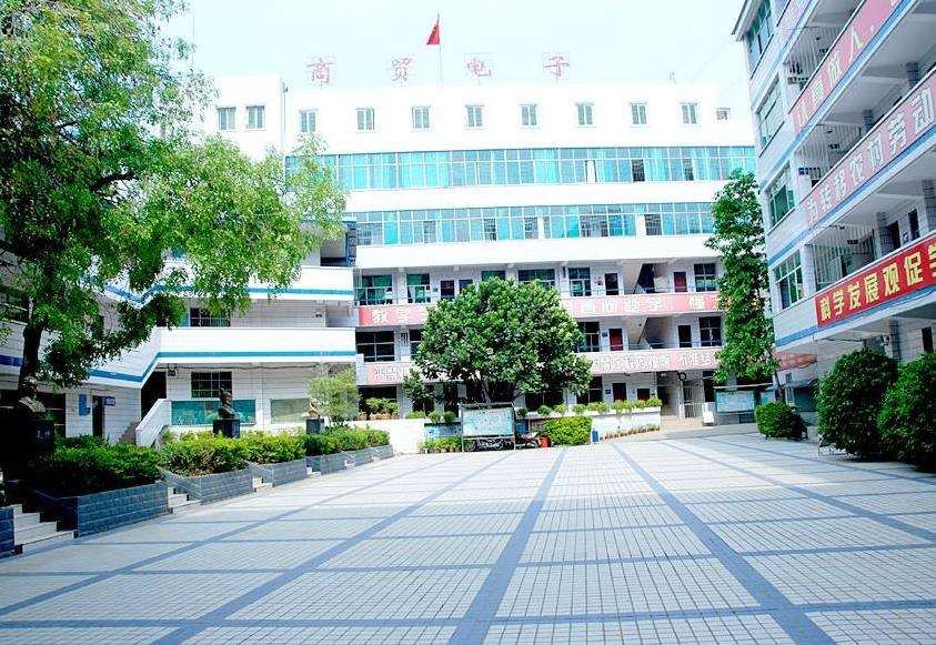 ��֦����ӿƼ��WУ2026����������