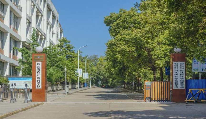 �Ĵ�ʡ�Ƚ��t�ƌWУ2025��������B