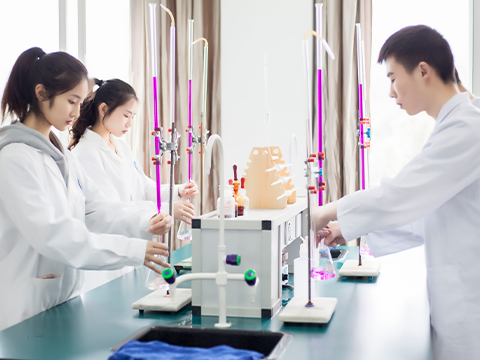 �Ĵ�ʡ�|(zh��)�����g(sh��)�O(ji��n)���W(xu��)У 2025 ����������