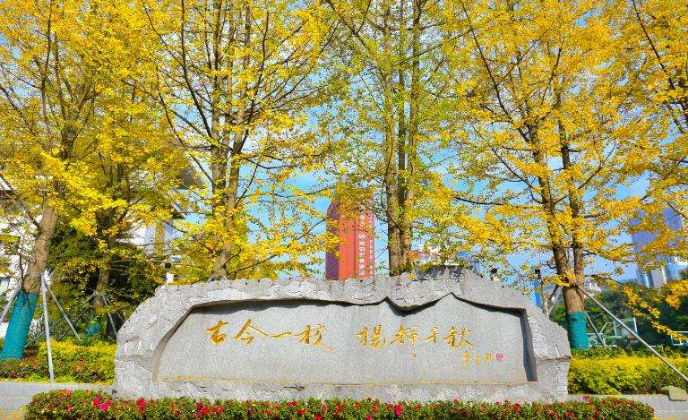 �ɶ�ʯ���ЌW(xu��)(����У�^(q��))2025���ȡ������