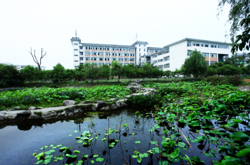 �ɶ����p���^(q��)�벩�е��I(y��)���g(sh��)�W(xu��)У2026��������(ji��n)��