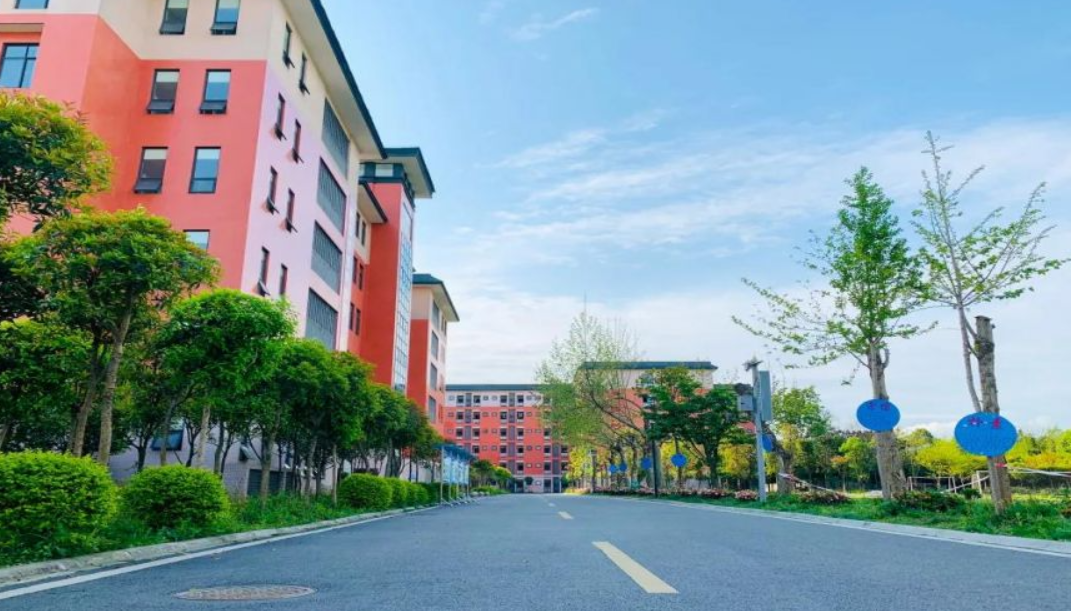 �ɶ��V�Ŕ��ּ��g�I�WУ2026����������