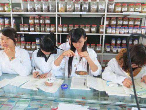 ˎ�����I�߿���