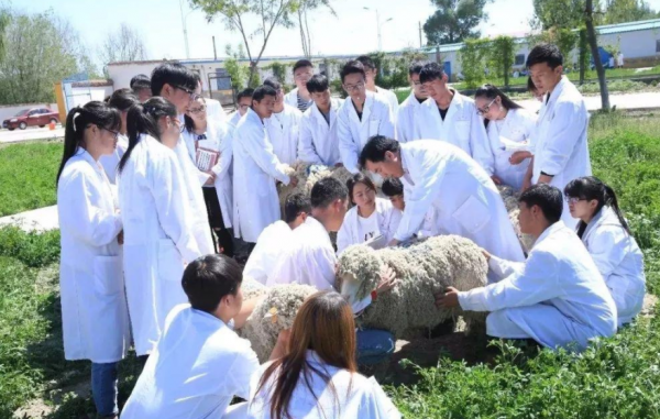 �������a���g��ԭ�����F�t��